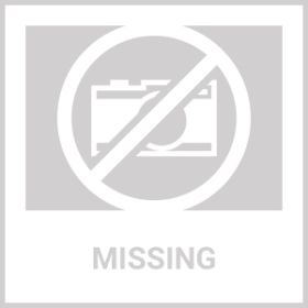 Cat Tunnel (Option: defaulttitle)